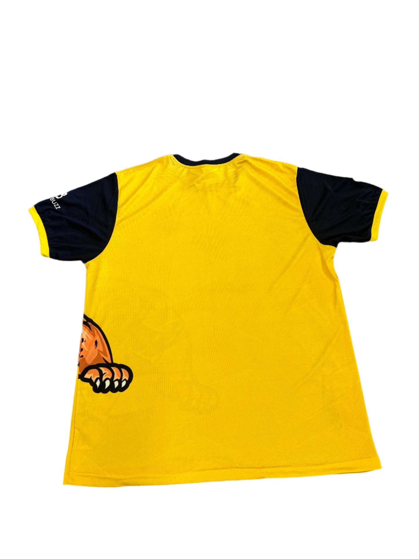 Bulawayo Brave Jaguars 2024 ZimAfro T10 Player Issue SS Training T-Shirt