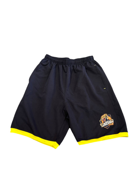 Chennai Brave Jaguars 2024 ABDT10 Player Issue Training Shorts