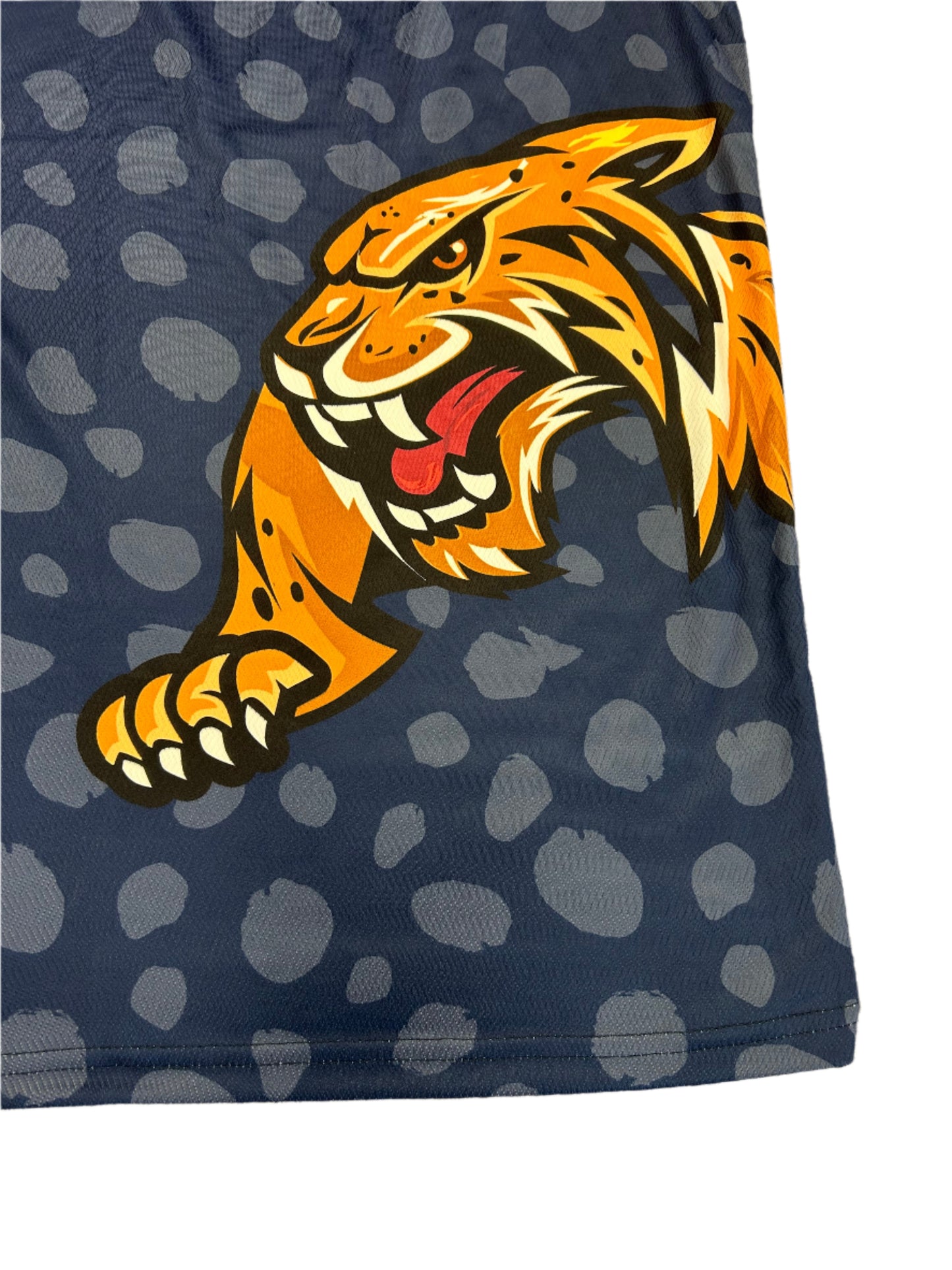 Dan Lawrence Chennai Brave Jaguars 2024 ABDT10 Player Issue LS Training T-Shirt