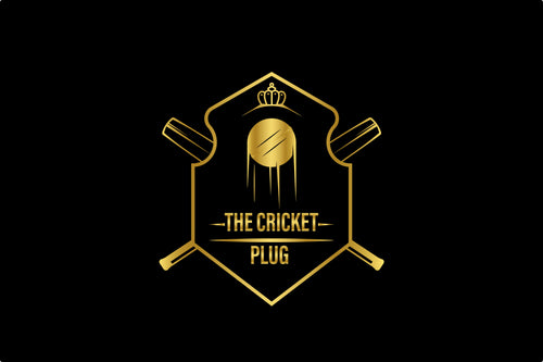 The Cricket Plug