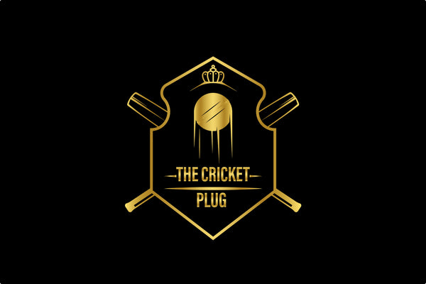 The Cricket Plug